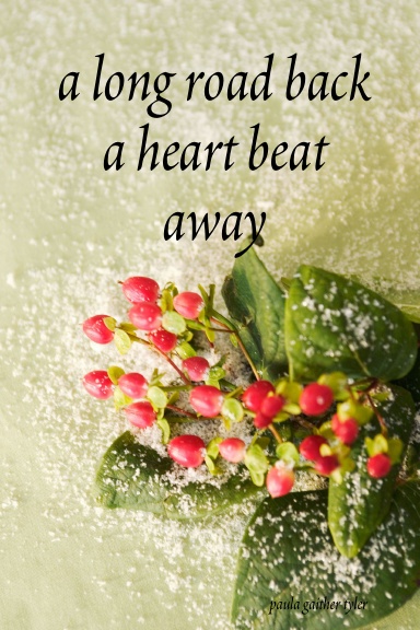 a long road back a heart beat away