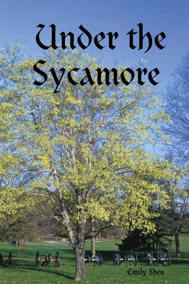 Under the Sycamore