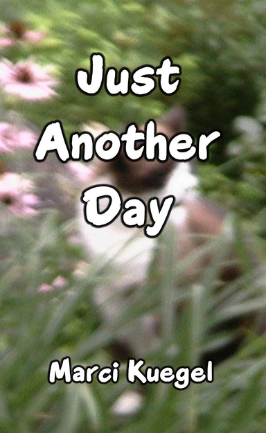 Just Another Day