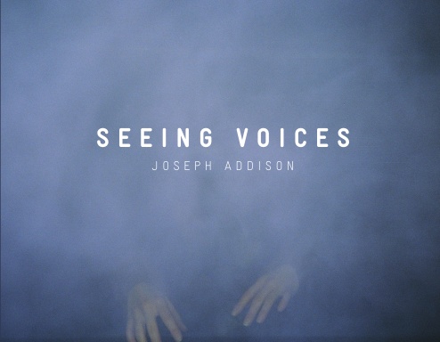 Seeing Voices