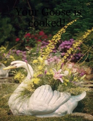 Your Goose is cooked!