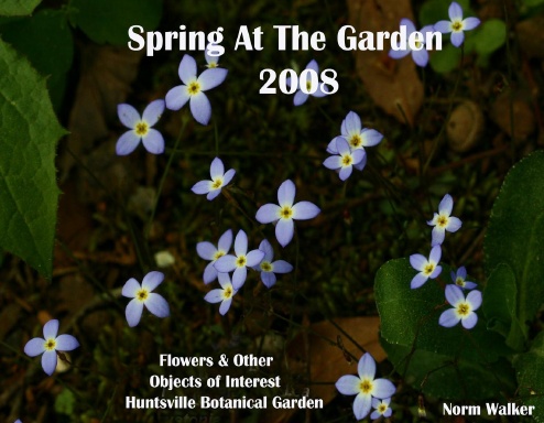 Spring At The Garden 2008