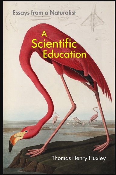 A Scientific Education