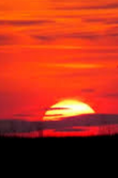 Horizon Fire