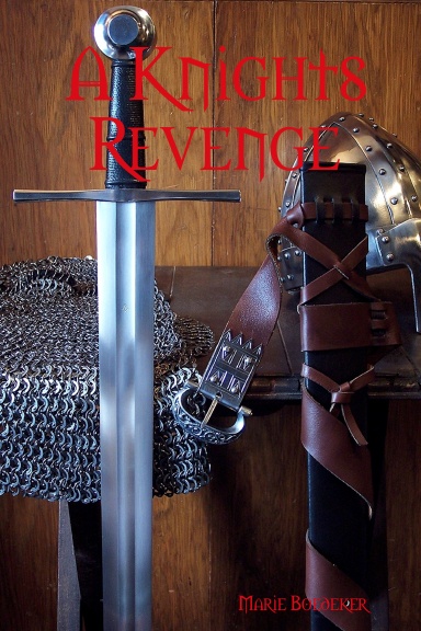 Knights Revenge