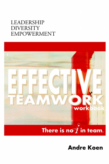 Effective Team Work: a guide book
