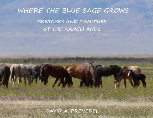 Where the Blue Sage Grows