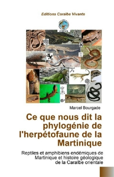 Ce que nous dit la phylogénie de l'herpétofaune de la la Martinique