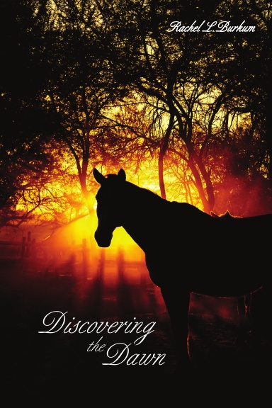 Discovering the Dawn