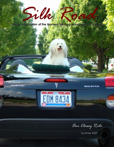The Silk Road