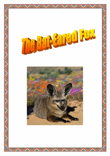 Animals of Africa ~ The South African Bat-Eared Fox