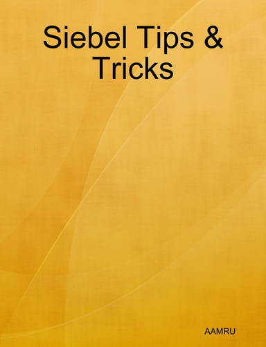 Siebel Tips & Tricks