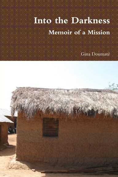 Into the Darkness : Memoir of a Mission