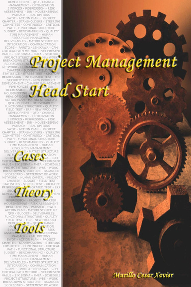 Project Management Headstart: Cases, Theory, Tools