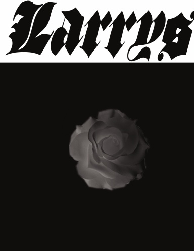 larrys 7