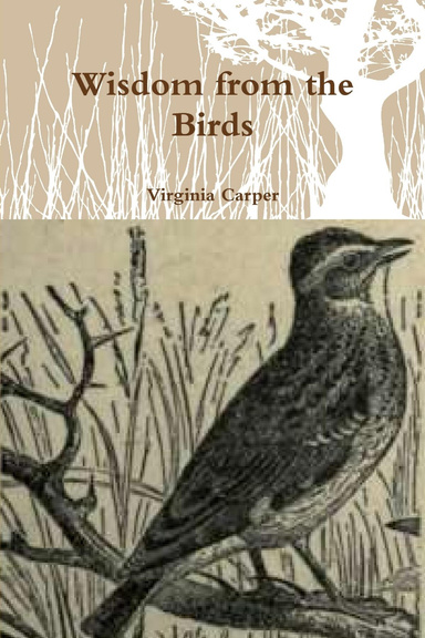 Wisdom from the Birds