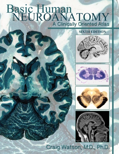 Basic Human Neuroanatomy: A Clinically Oriented Atlas