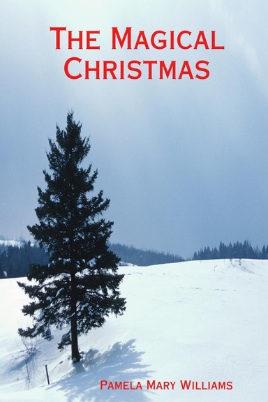 The Magical Christmas