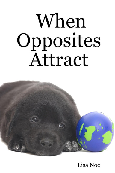 When Opposites Attract