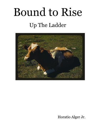 Bound to Rise