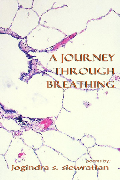 A Journey Through Breathing
