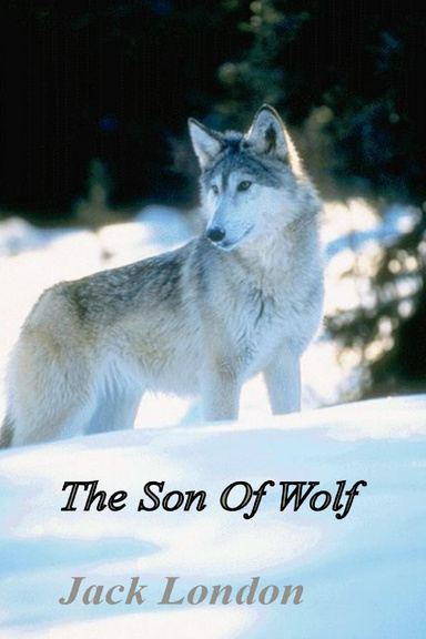 Son Of The Wolf