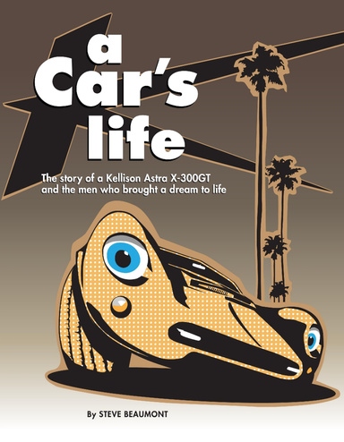A Car's Life
