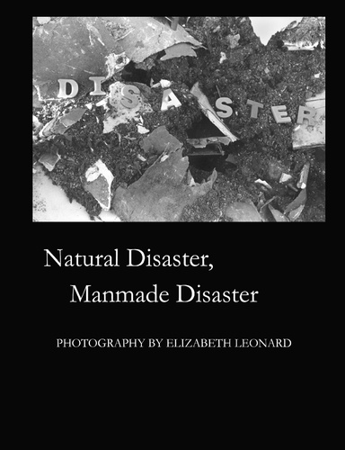 Natural Disaster, Manmade Disaster