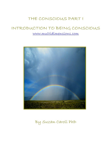 The Conscious Part I – Introduction To Being Conscious