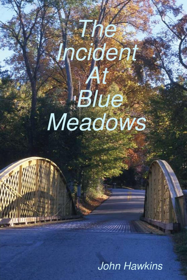 The Incident At Blue Meadows