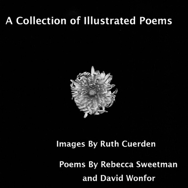 A Collection of Illustrated Poems
