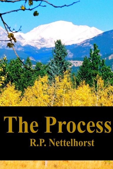 The Process