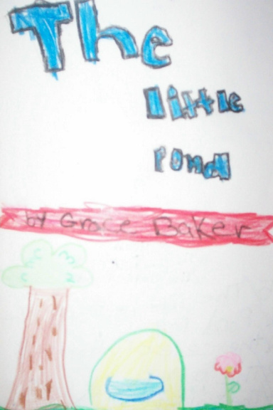 The Little Pond