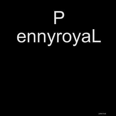 PennyroyaL