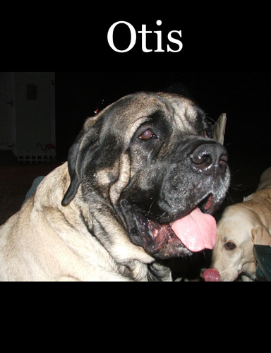 Otis