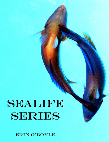 Sealife Series