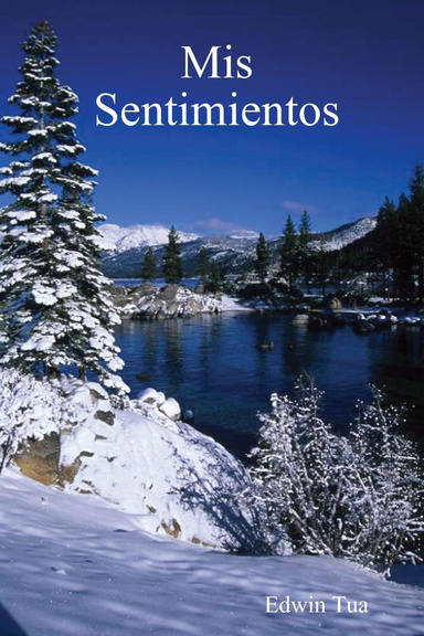 Mis Sentimientos