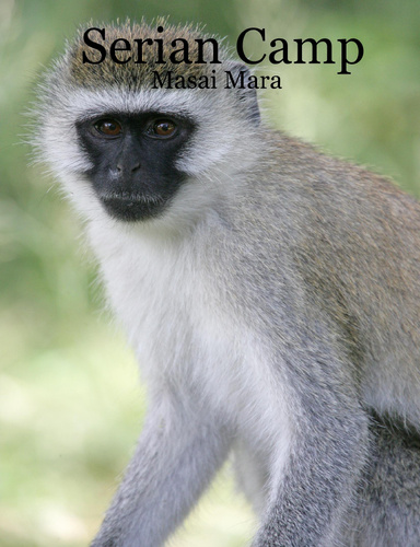 Serian Camp - Masai Mara