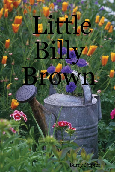 Little Billy Brown