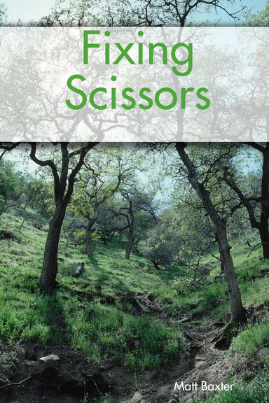 Fixing Scissors