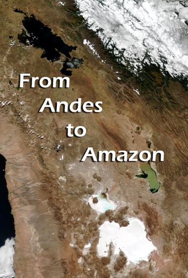 From Andes to Amazon (II)
