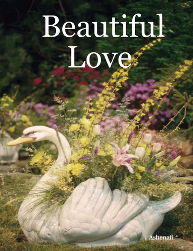 Beautiful Love