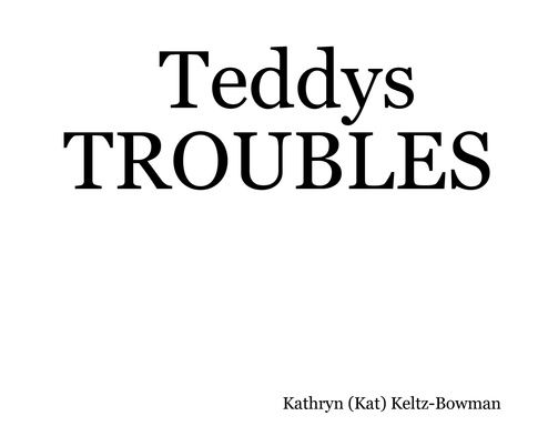 Teddys TROUBLES
