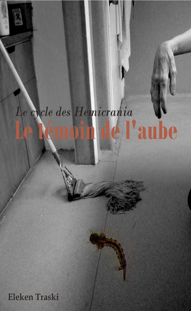 Le témoin de l'Aube