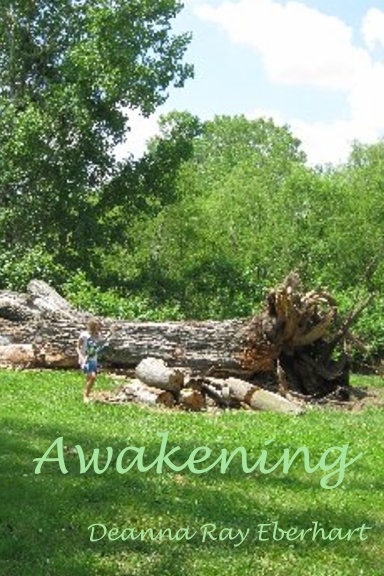 Awakening