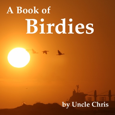A Book Of Birdies