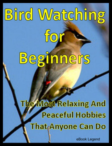 Bird Watching for Beginners: The Most Relaxing And Peaceful Hobbies That Anyone Can Do