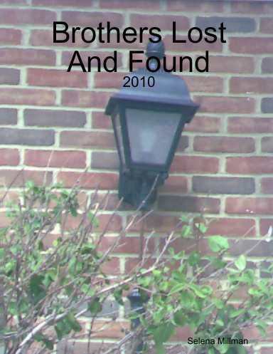 Brothers: Lost And Found