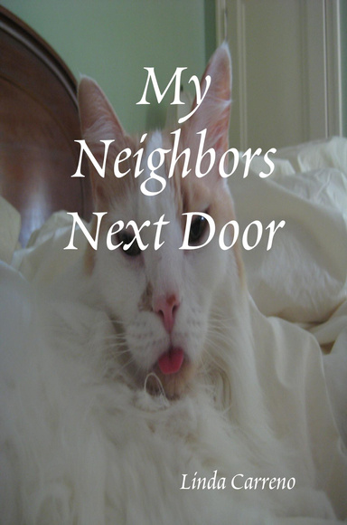 My Neighbors Next Door