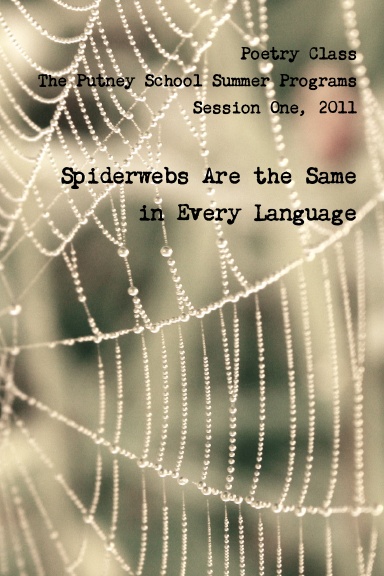 Spider Webs are the Same in Every Language